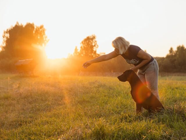 Агротуристический комплекс Горыныч фото 3