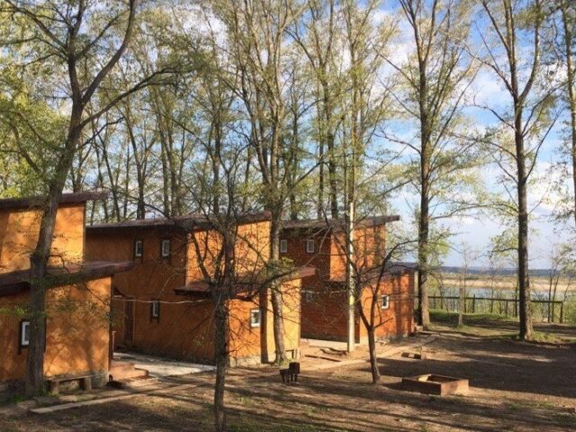 Займище фото 2