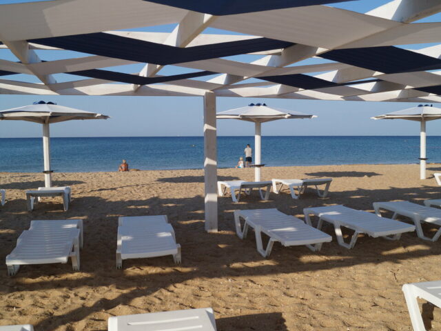 Bla-Bla Guest фото 1