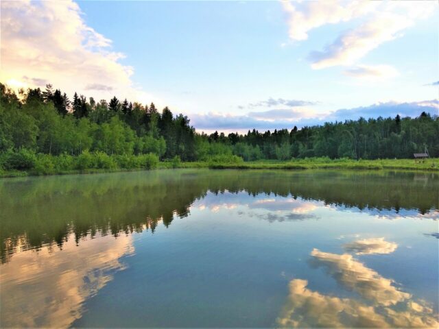 Васнецово Озеро фото 2