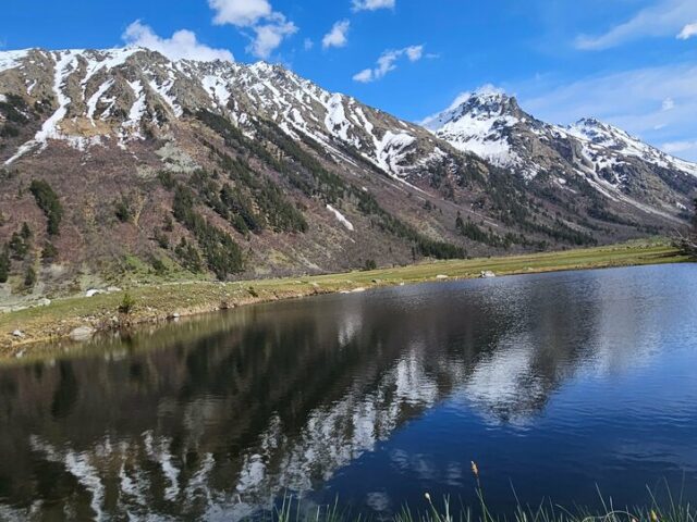 Горянка фото 1