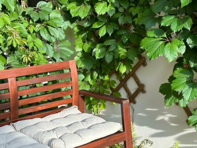 Дом Моррей фото 3