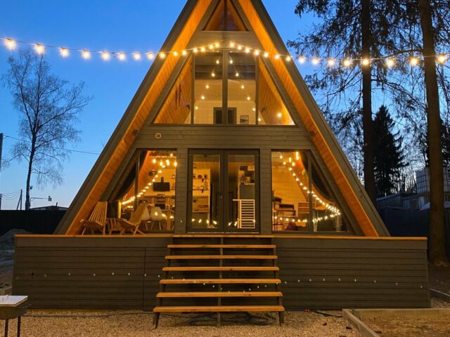 Лесные огни фото 1