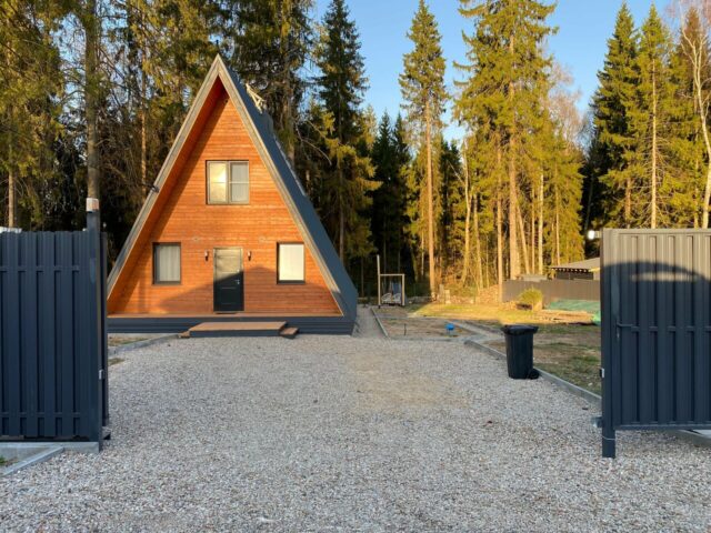 Лесные огни фото 2