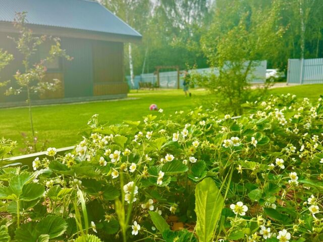 Лесное Гнездышко фото 3