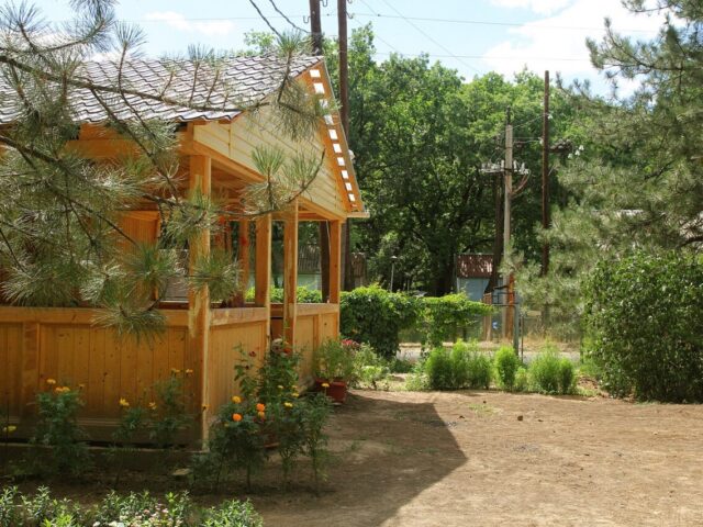 Дача Поддубного фото 2