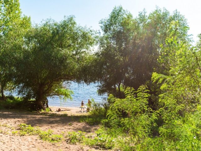 Дача Поддубного фото 3