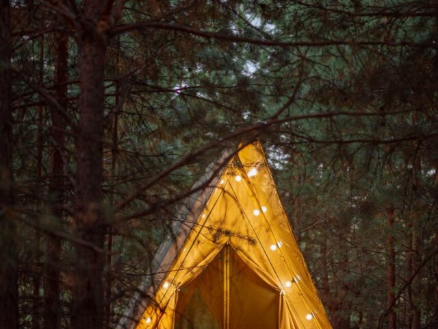 Он бір жастағы балалармен жыныстық қатынас