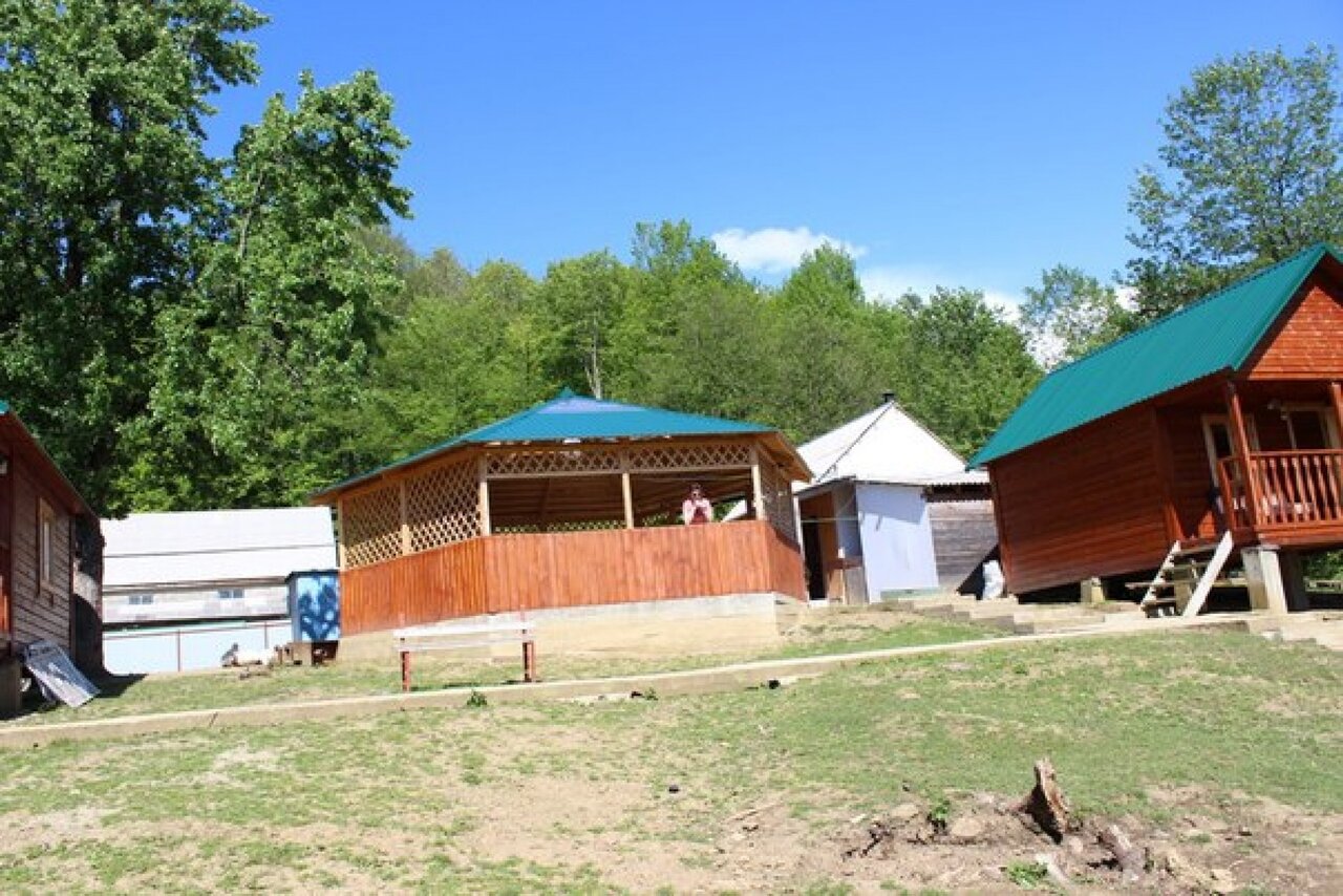 Фото Светлячок