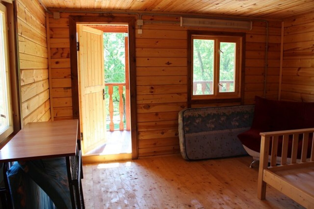 Фото Светлячок