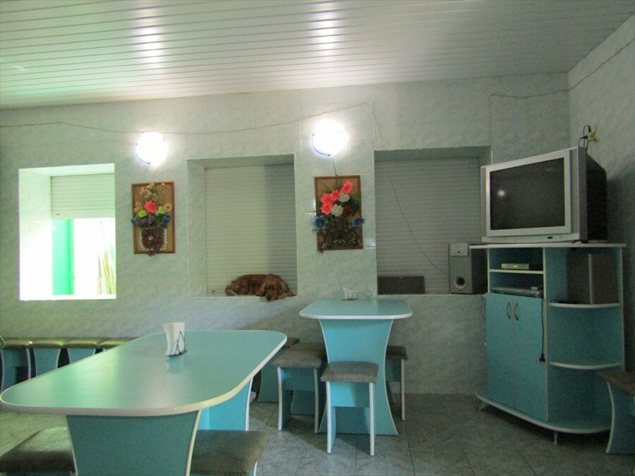 Фото Карина