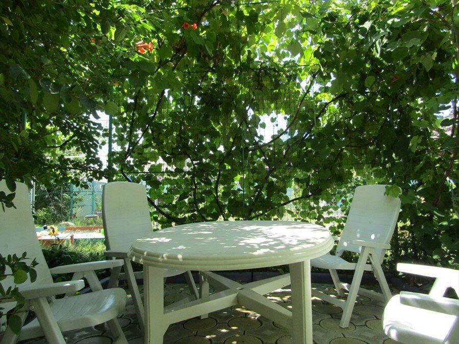 Фото Карина