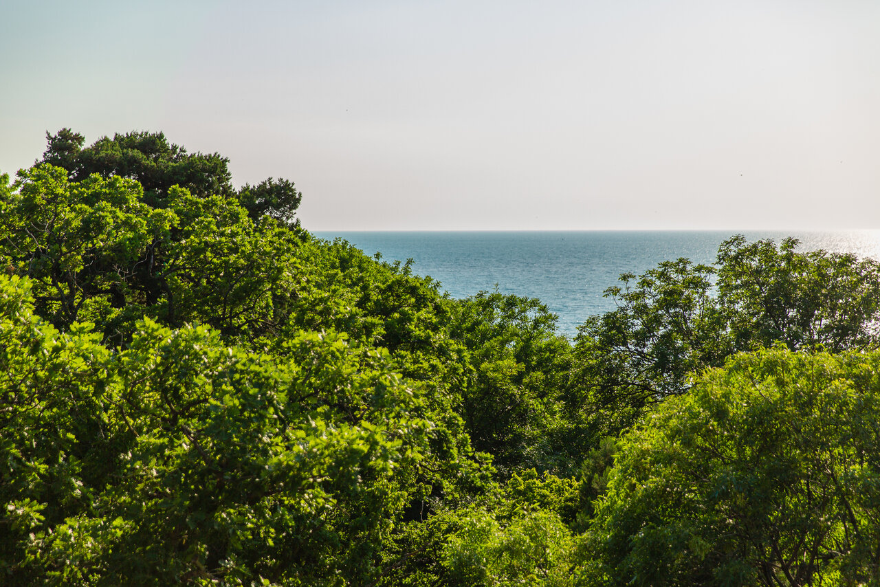 Фото Солнечный Утриш