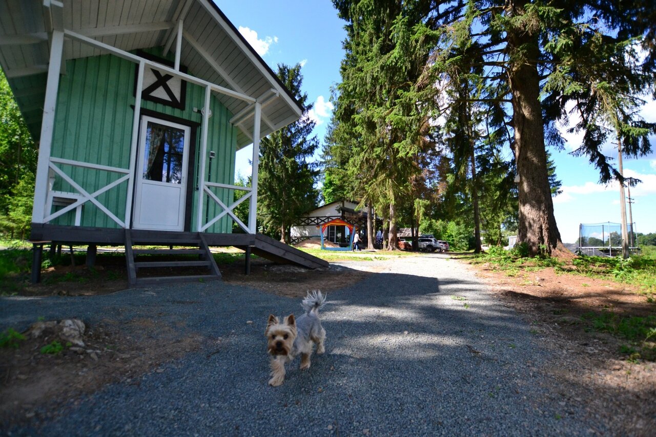 Фото Северный Патмос