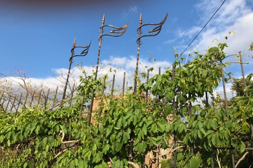 Фото Генеральская дача