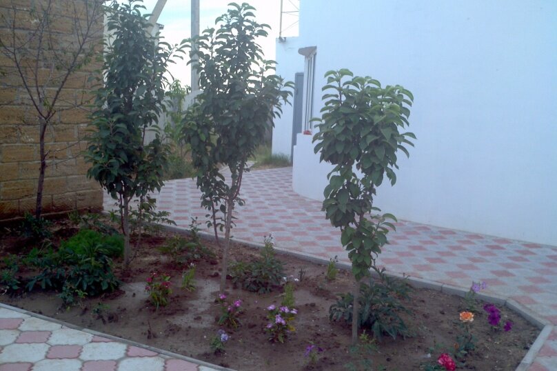 Фото Сказки моря