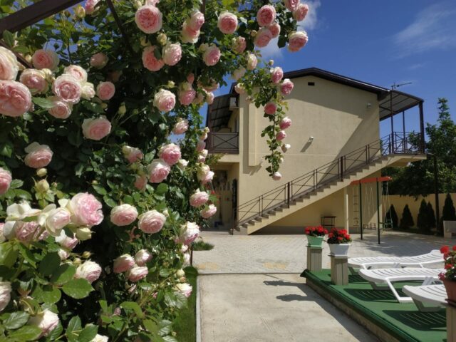 Лето club фото 1