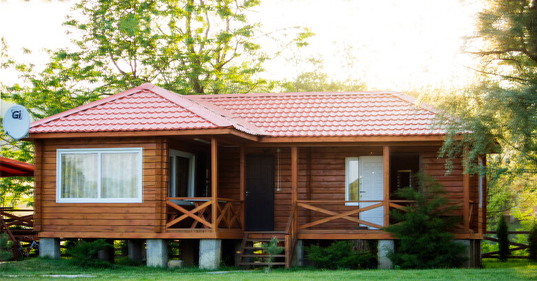 Фото Светлячок