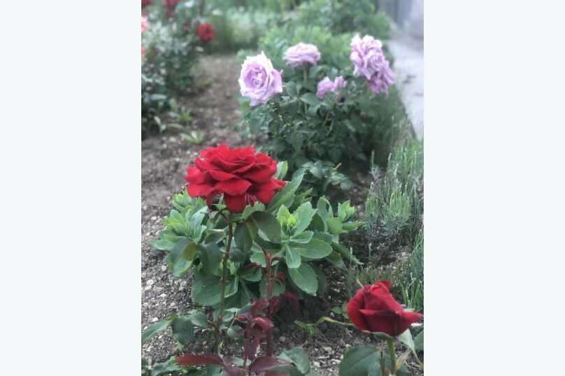 Фото на Ялтинской, 8