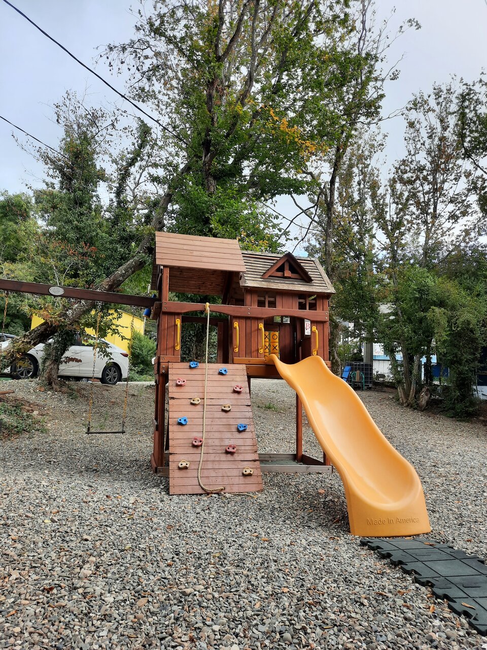 Фото Тенистая