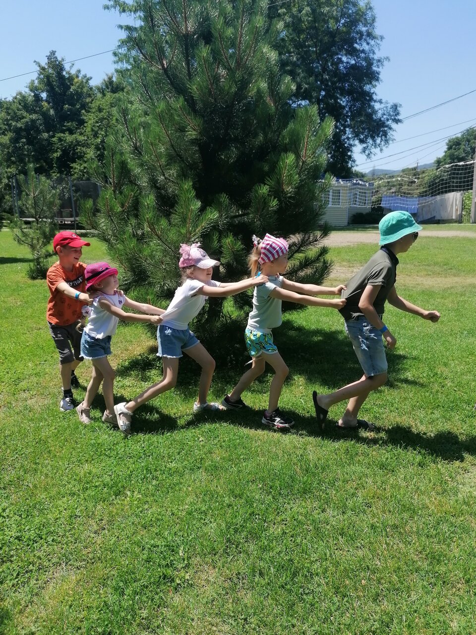 Фото Светлячок