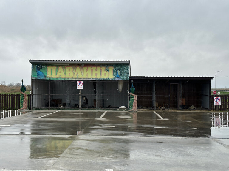 Фото Анастасиевская