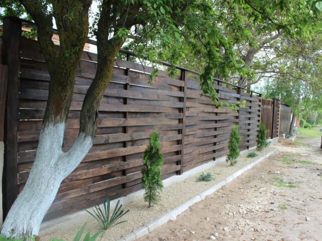 Derevjashka фото 2