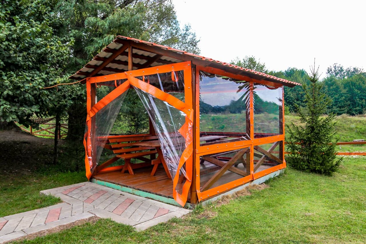 Фото Светлячок