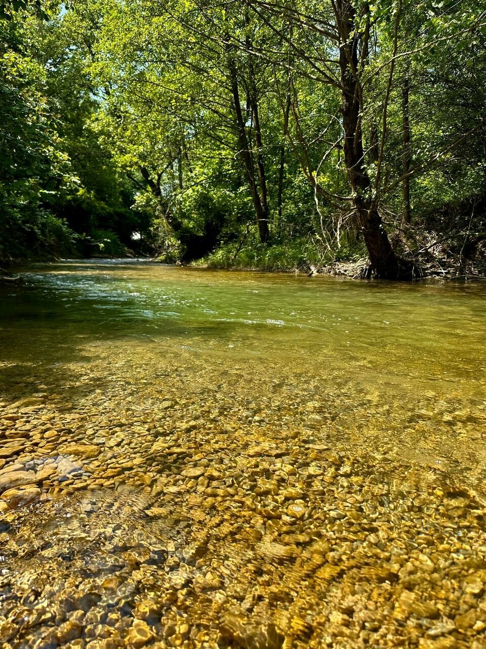 Фото на Ялтинской, 8