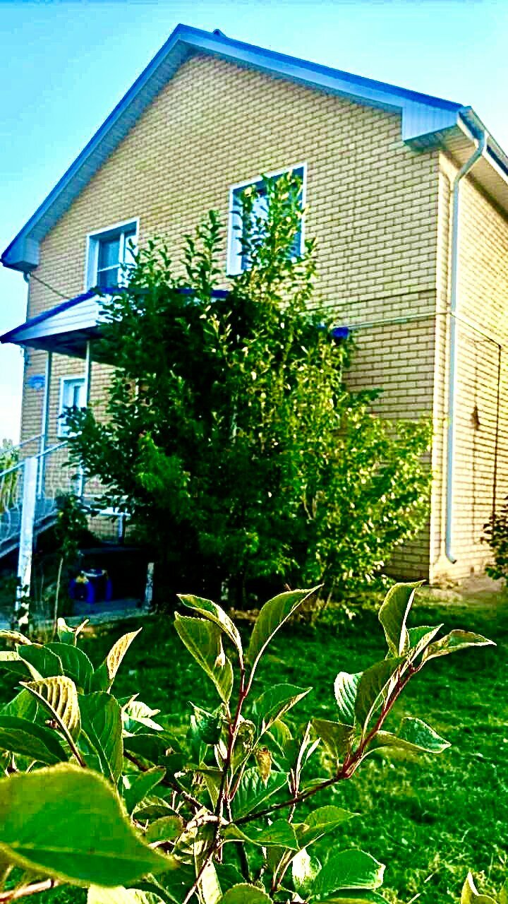 Фото Синяя крыша