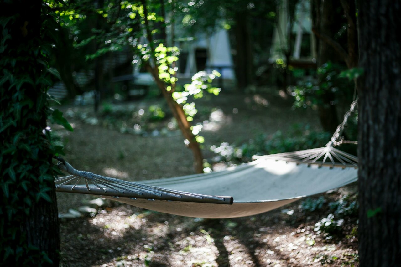 Фото Дикое Место