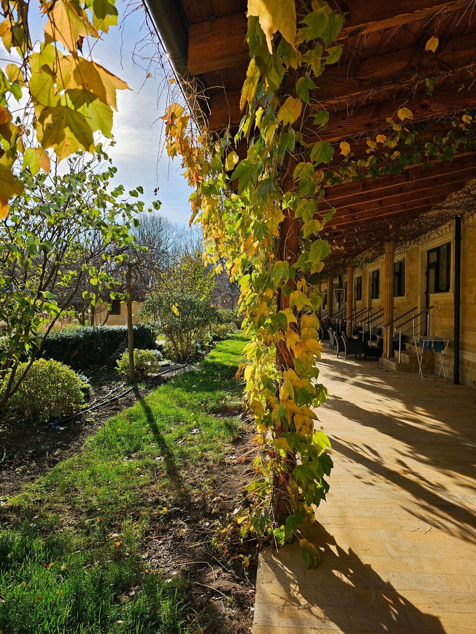 Фото Бальнеологический центр Термы