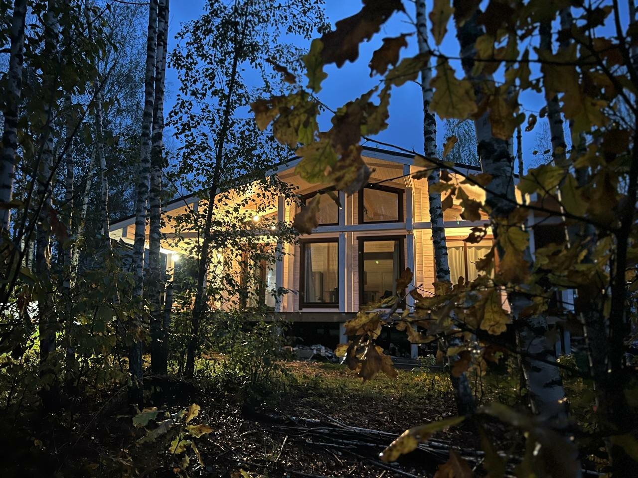 Фото Шале в лесу