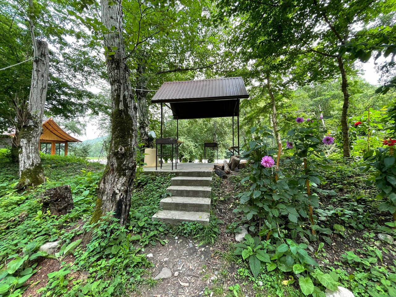 Фото Три Медведя