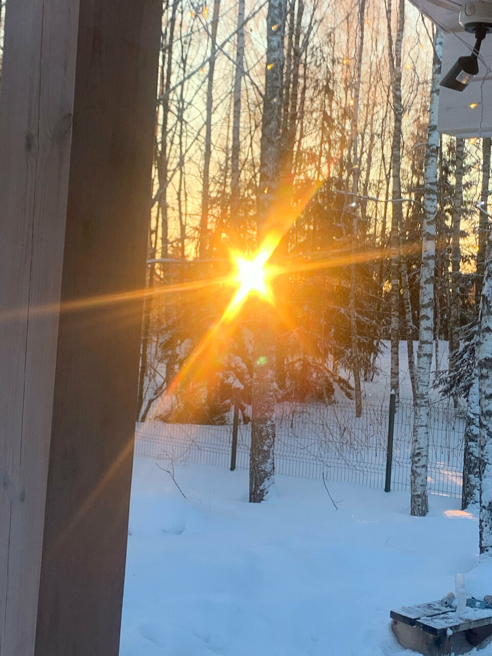 Фото Шале в лесу