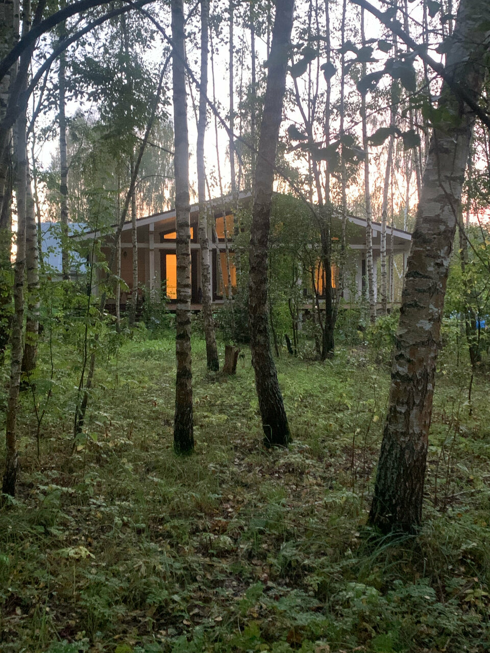 Фото Шале в лесу