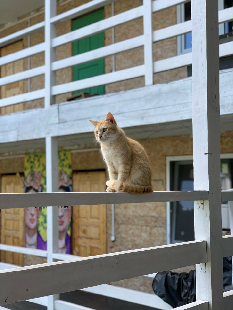 Фото Дедеркой мой рай