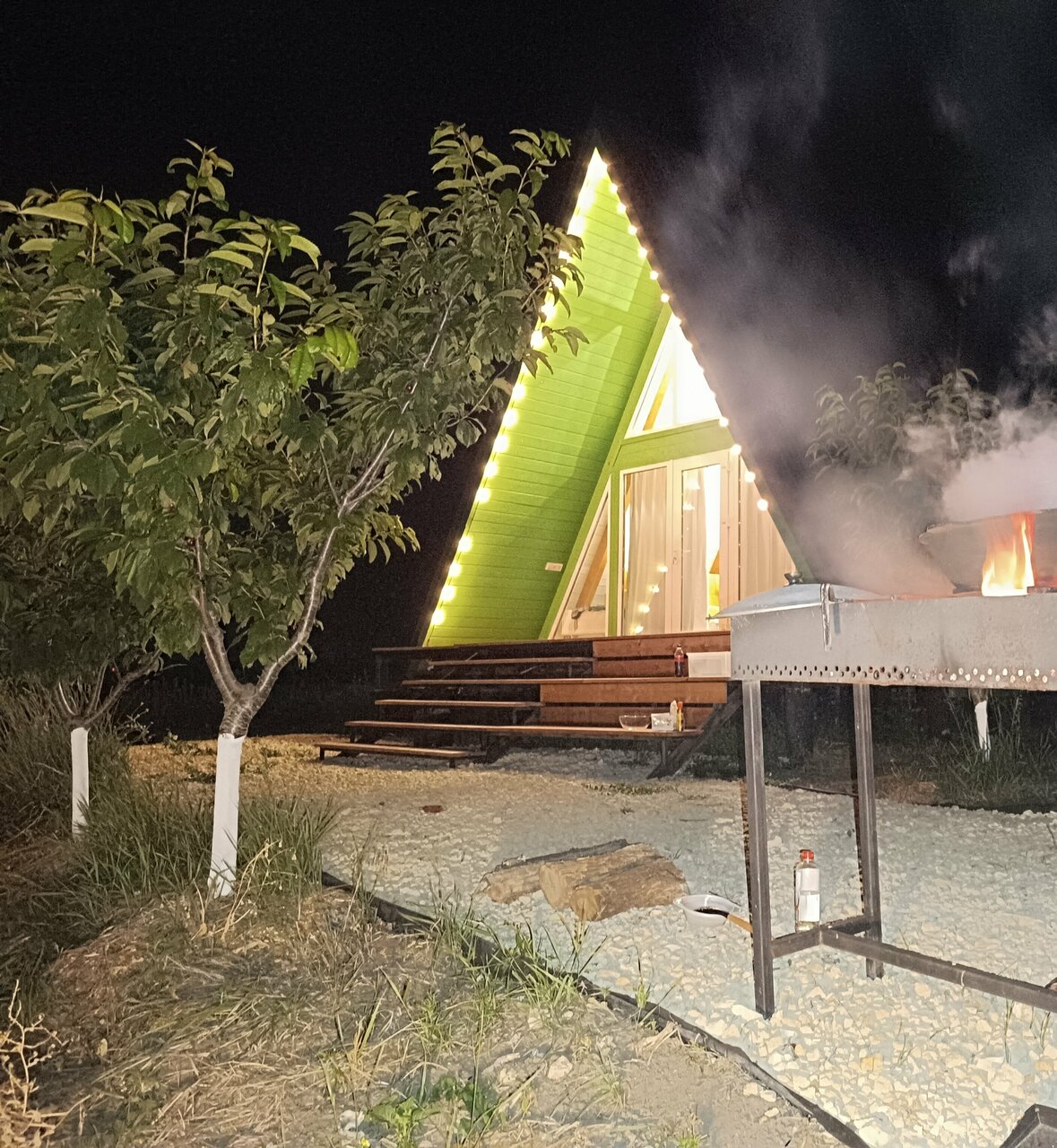 Фото Терра23