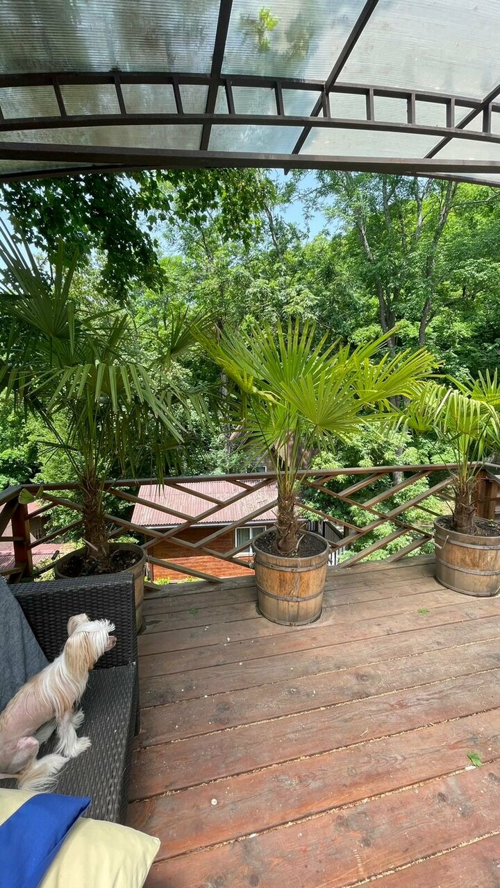 Фото Бор Одача