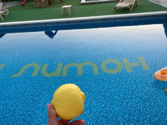 Дон Лимон фото 2