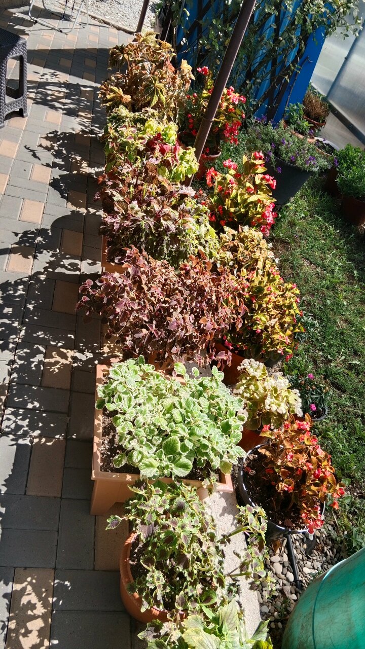 Фото Синее небо