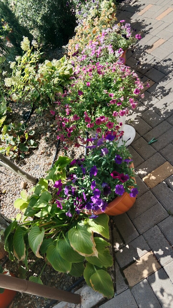 Фото Синее небо