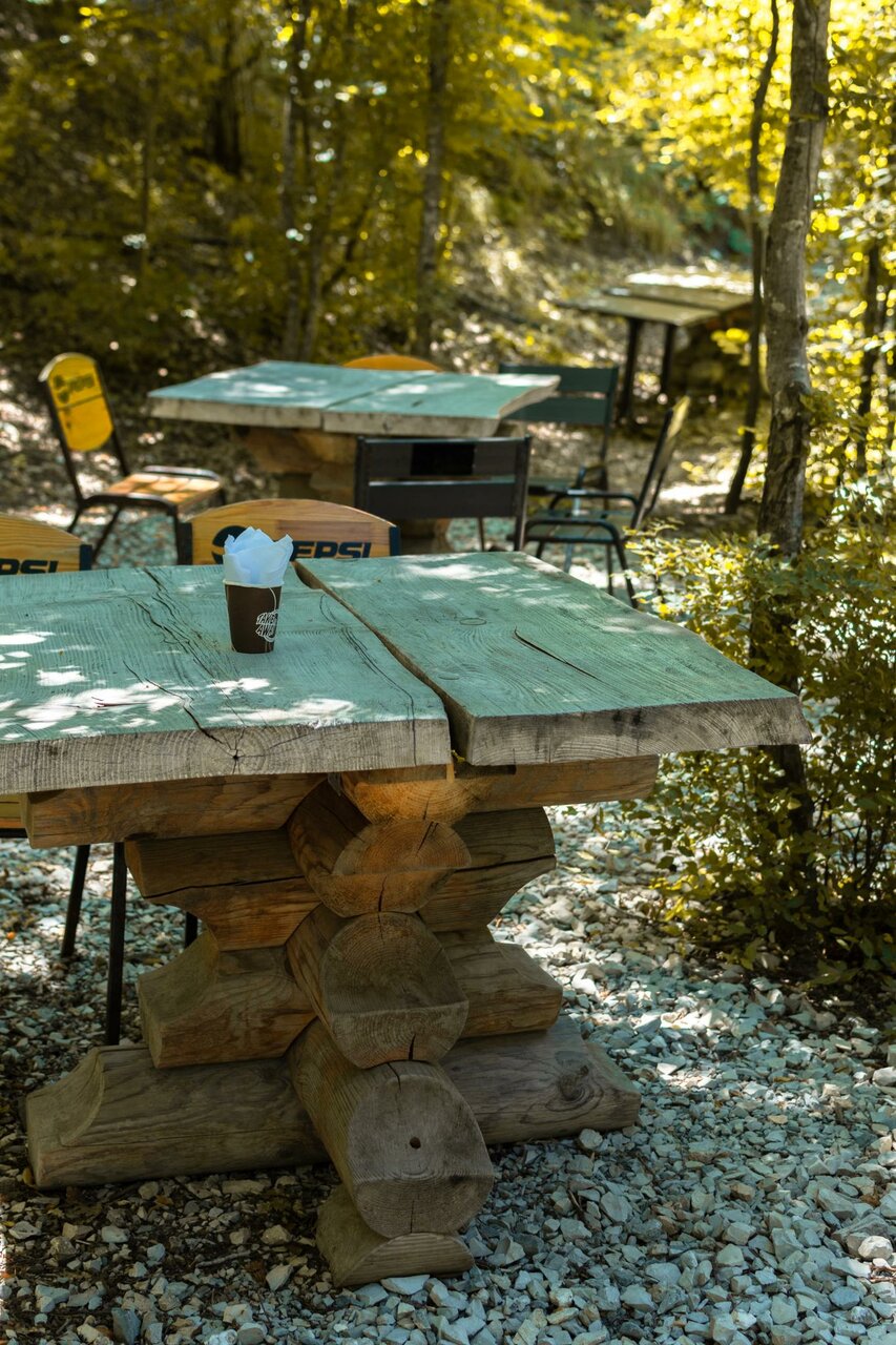 Фото Дикое Место