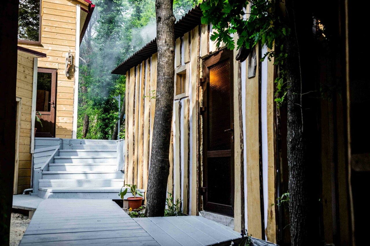 Фото Дикое Место