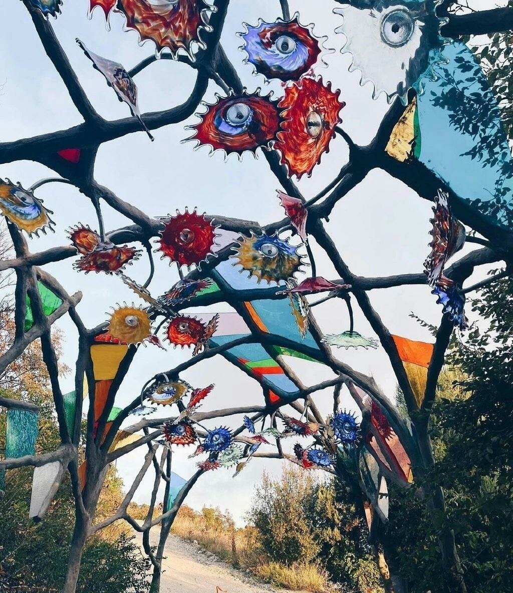 Фото Дикое Место