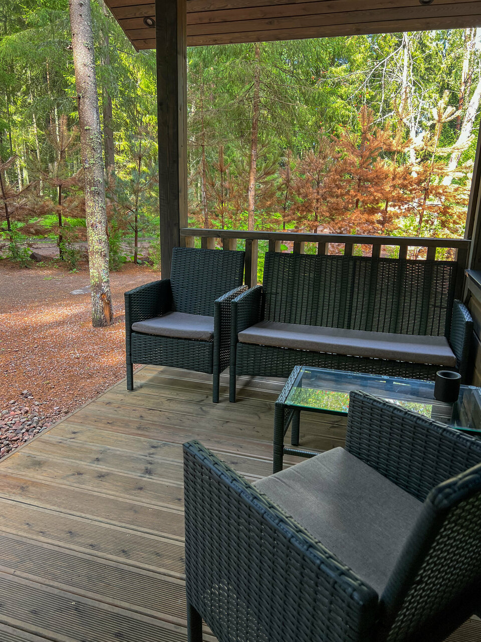 Фото Smell Of The Forest