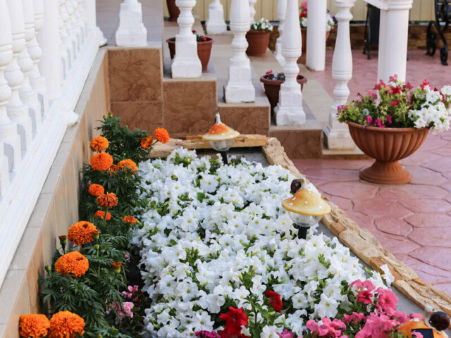 Зеленая Крыша фото 2