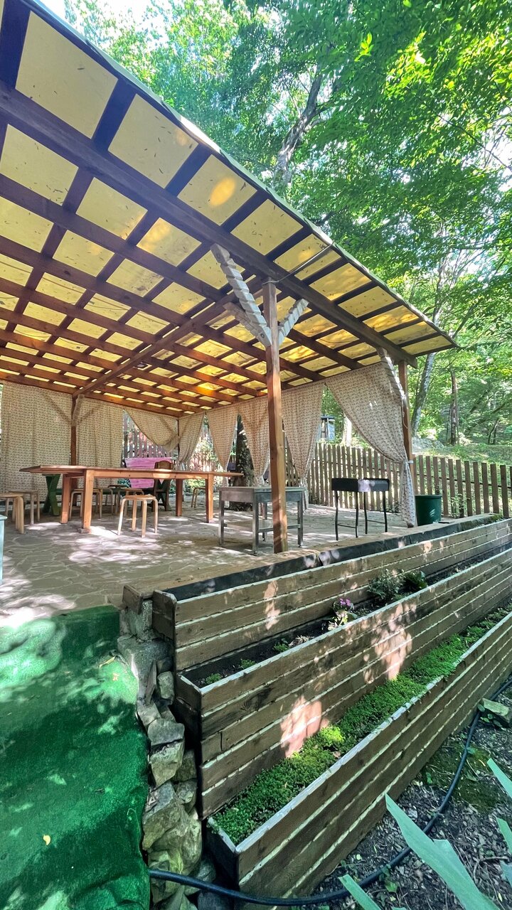 Фото Бор Одача