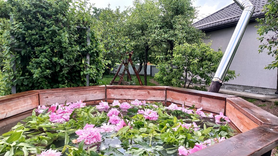 Фото Семейный домик