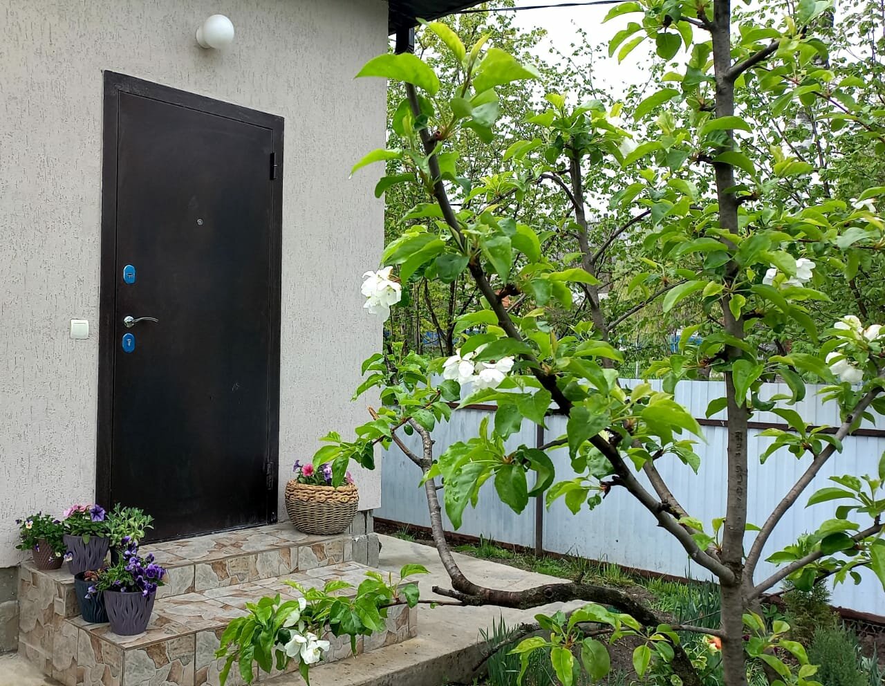 Фото Семейный домик